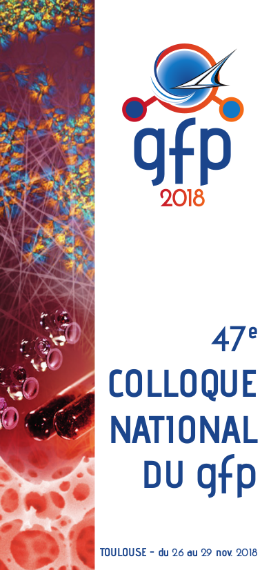 flyer_GFP2018.png